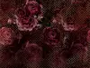 Fototapet floral Rouge Intense, Komar, imprimeu vişiniu, 350x280 cm
