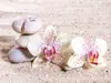 Fototapet floral Zen Balance, Dimex, model orhidee, 375x250 cm