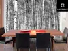 Fototapet pădure Birch Forest, Eurographics, alb negru, 366 x 254 cm