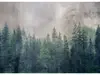 Fototapet Pădure, Dimex, Forest Abstract, 375x250 cm