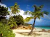 Fototapet plajă tropicală Praslin, Komar, multicolor, 368x254 cm