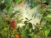 Fototapet peisaj junglă Into the wild, Komar, decor exotic, 368 x 248 cm
