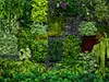 Fototapet plante verzi, Erismann, Hanging Garden, 400x270 cm