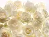 Fototapet floral alb Shalimar, Komar, imprimeu trandafiri, pe suport vlies, 368 x 248 cm