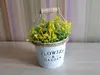 Găletuşă decorativă, Folina, cu plante artificiale verzi