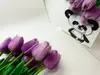 Oglindă decorativă Animale, Folina, pentru cameră copii Animale