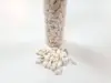Scoici decorative Melci albi