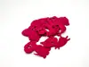 Set 7 decorațiuni creative din fetru magenta cu animale pentru activități craft, Folina, pâslă cu grosime de 3 mm, diverse culori