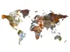 Sticker perete harta lumii, Folina, multicolor, 145x70 cm
