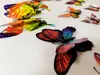 Set 12 stickere 3D Fluturi multicolori