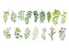 Set 16 stickere decorative Crenguțe Watercolor, Folina, pentru perete, mobilă și geam