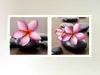 Tablou Orhidee, Eurographics, din sticlă, imprimeu floral, multicolor, set 2 bucăți