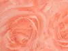 Autocolant decorativ trandafiri Rosa