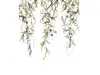 Fototapet floral, alb cu crengi, Marburg 63452, dimensiuni de 210x270 cm
