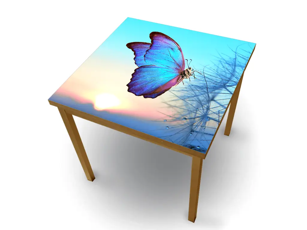 Autocolant blat masă, model fluture, 100 x 100 cm, racletă inclusă