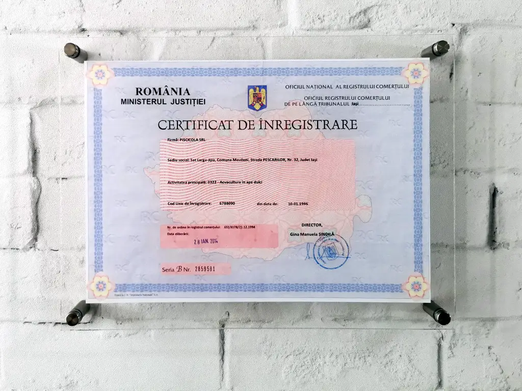 Plăcuță personalizată cu Certificatul de înregistrare pentru firme, din acril transparent, 35x25 cm, distanțiere incluse