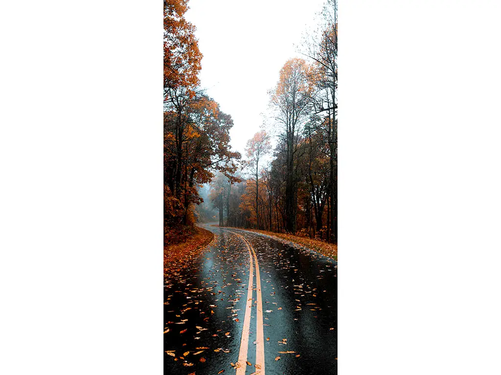 Autocolant uşă Autumn road, Folina, model multicolor, dimensiune autocolant 92x205 cm