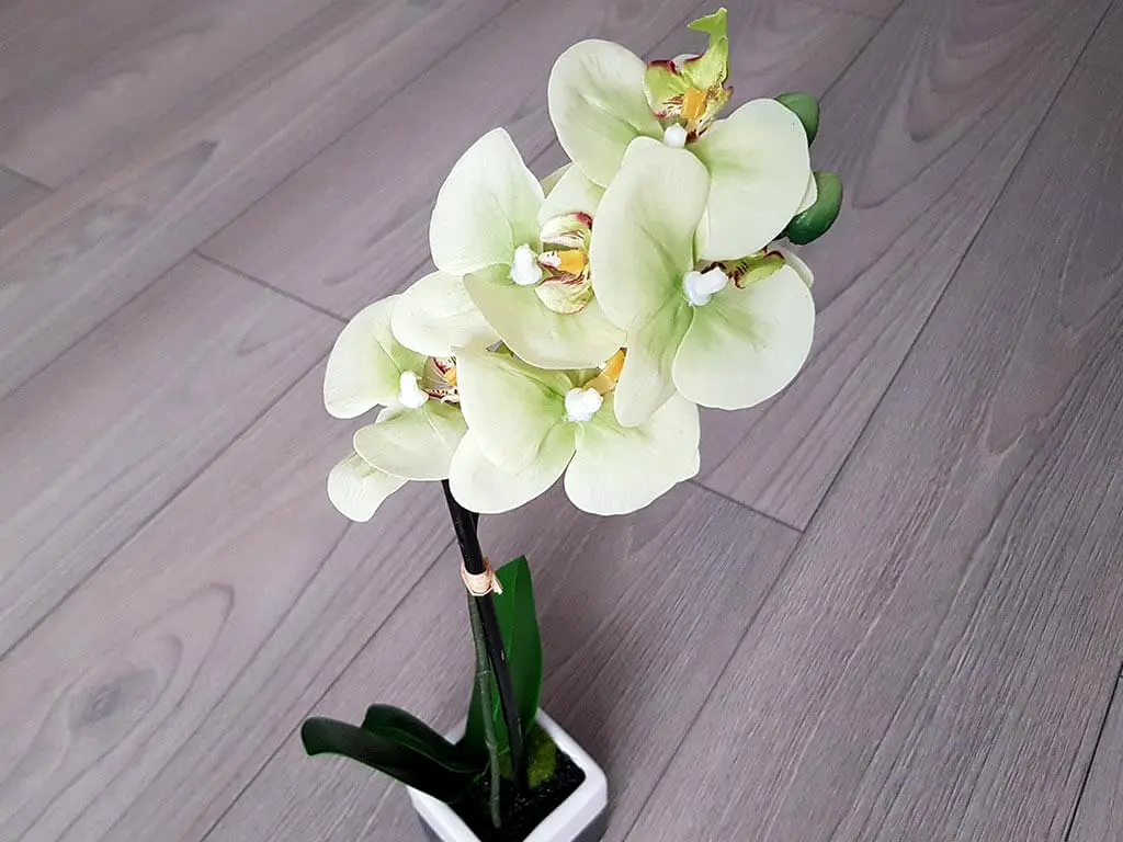 Flori artificiale, Folina, aranjament orhidee verde Borneo, 36 cm înălţime