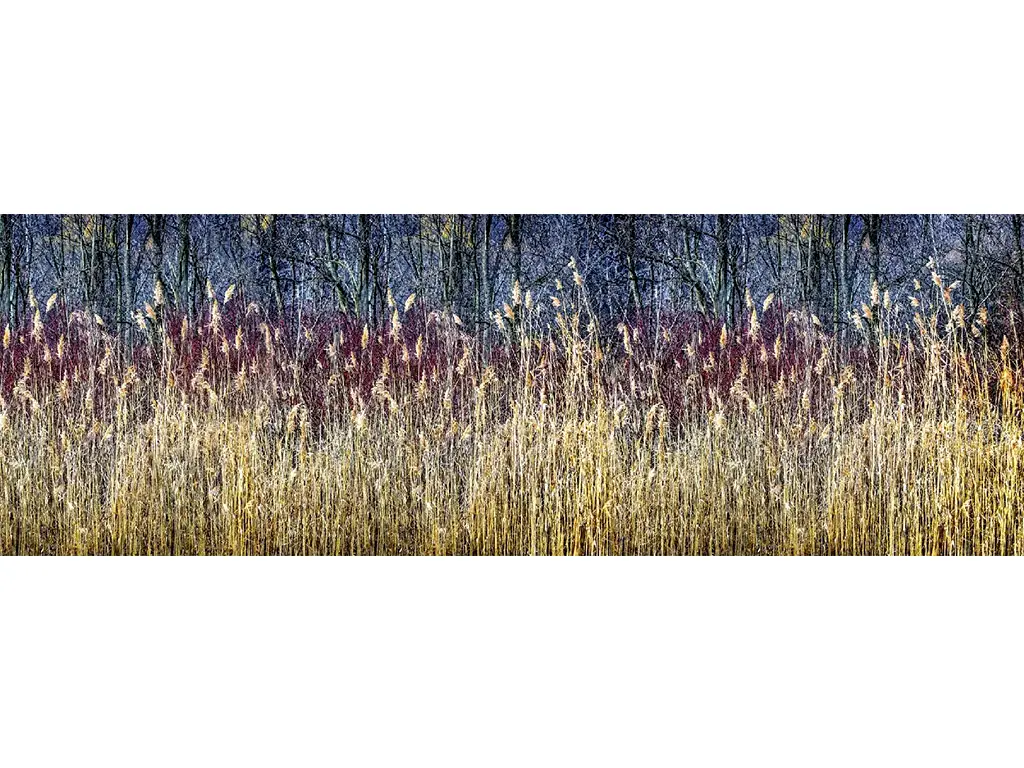 Autocolant perete bucătărie, Dimex Winter Reeds, rezistent la apă şi căldură, rolă de 60x350 cm