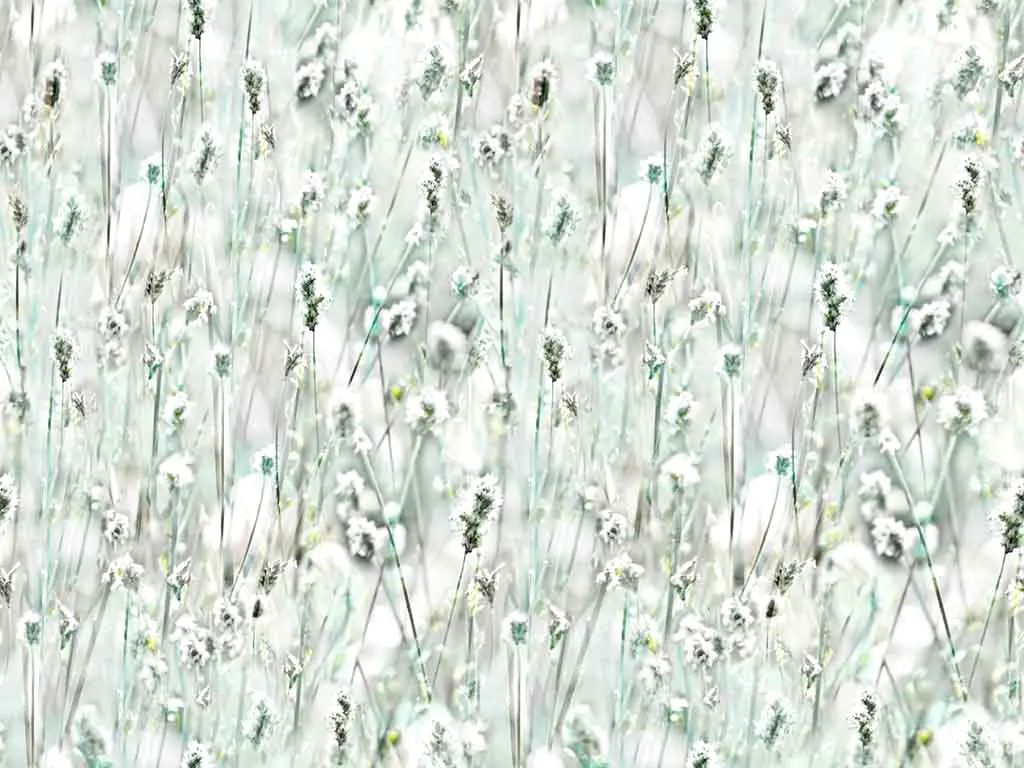 Autocolant decorativ Sommerset, d-c-fix, flori de câmp, lățime 67 cm