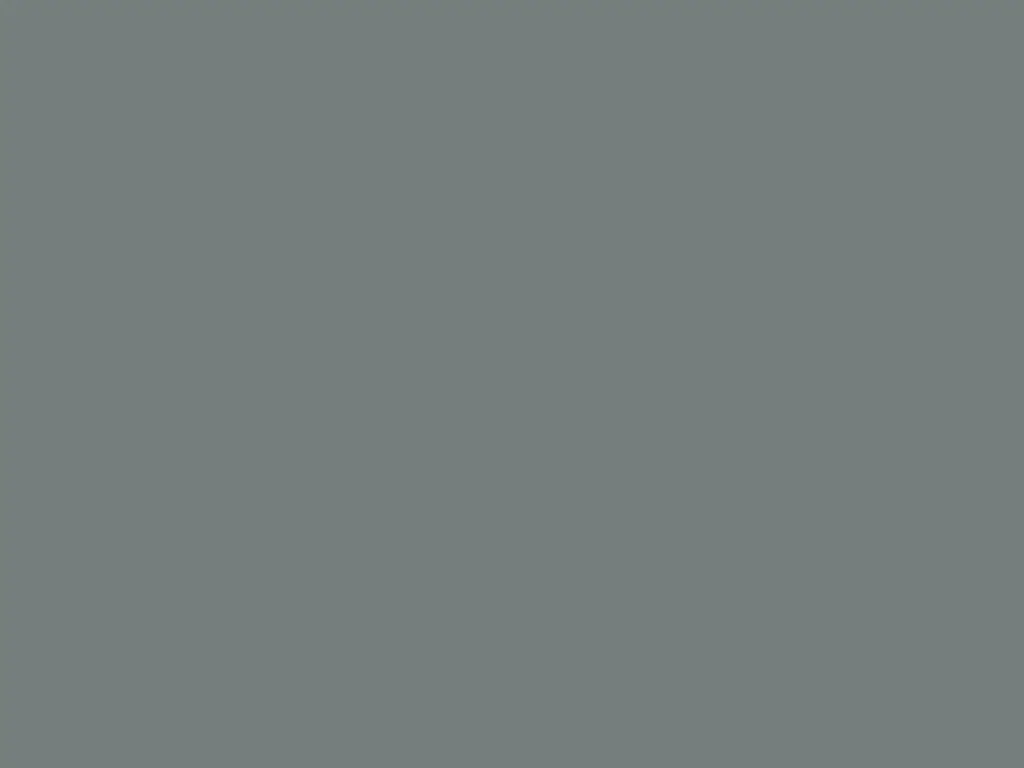 Autocolant gri lucios Oracal 641G Economy Cal, Grey 071, rolă 63 cm x 3 m, racletă de aplicare inclusă