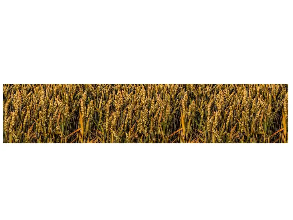 Autocolant decorativ Lan de grâu, Folina, rolă de 80x350 cm