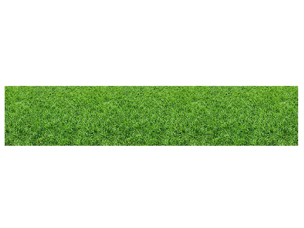 Autocolant decorativ cu imprimeu iarbă verde, Folina, rolă de 80x400 cm