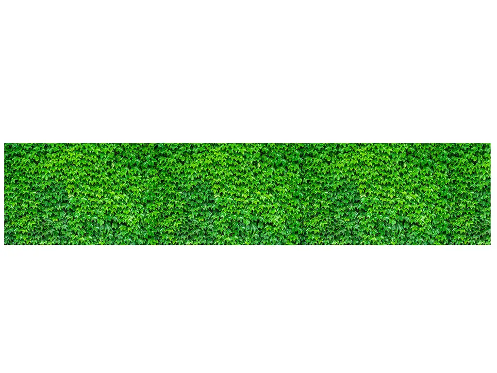 Autocolant decorativ Iederă verde, Folina, rolă de 80x400 cm