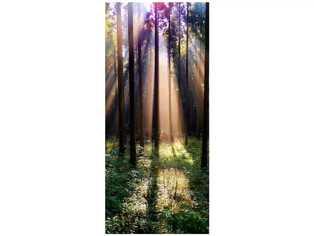 Autocolant uşă Raze de lumină, Folina, model multicolor, dimensiune autocolant 92x205 cm