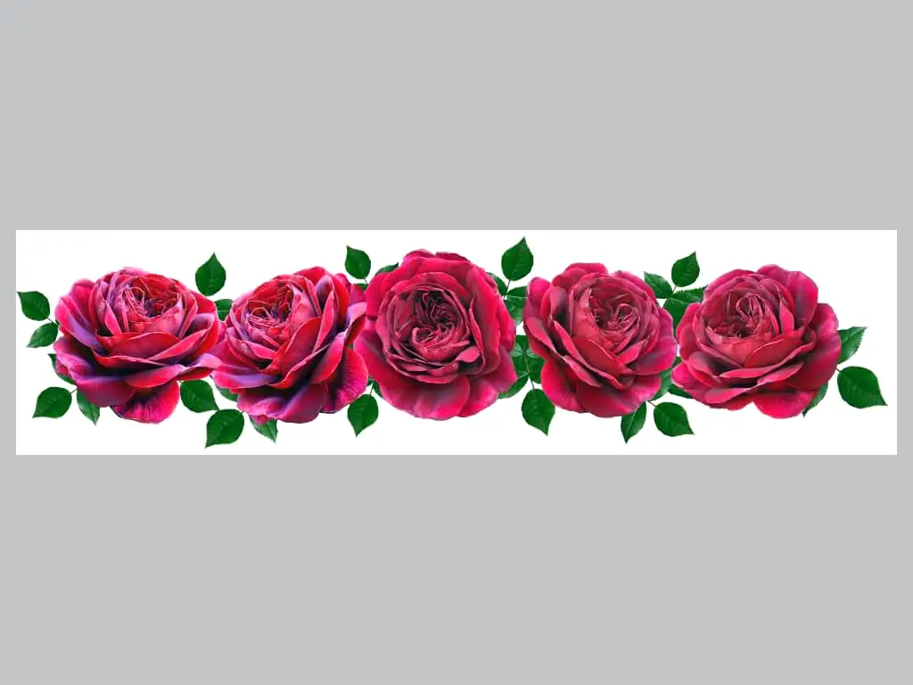 Autocolant perete Trandafiri, Folina, model floral roşu, 80x320 cm