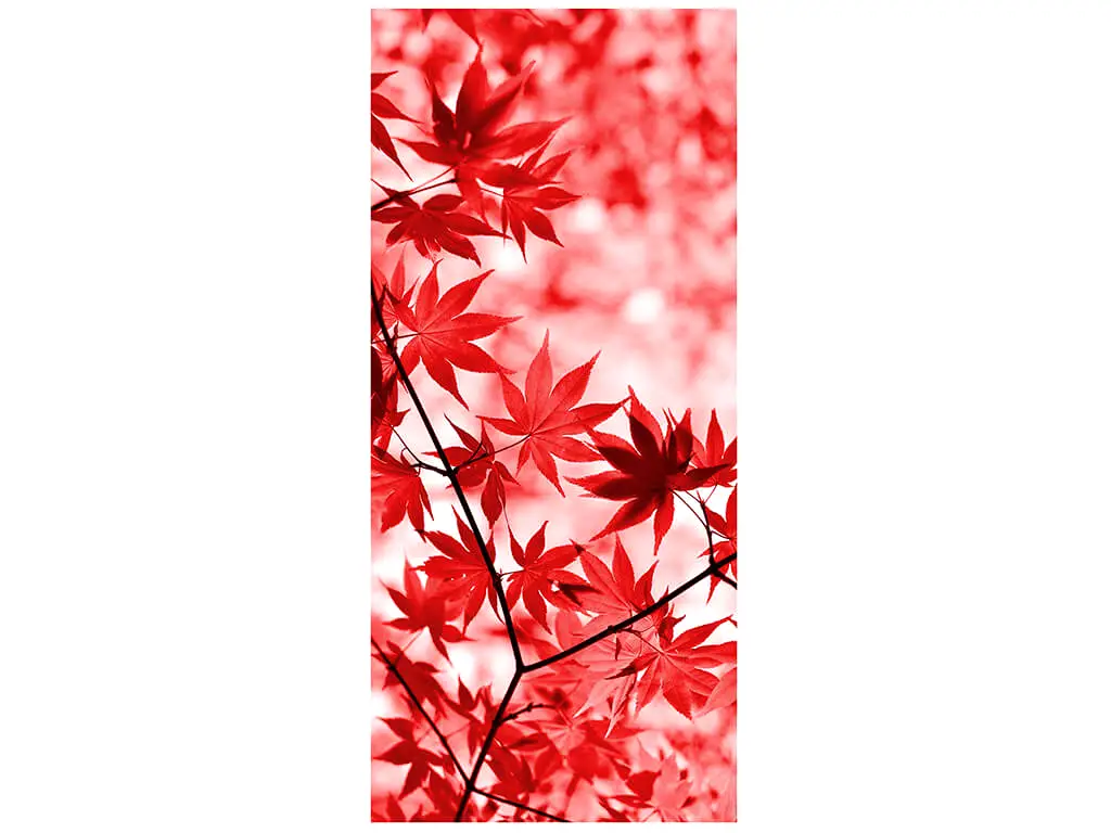 Autocolant uşă Frunze cărămizii, Folina, model multicolor, dimensiune autocolant 92x205 cm