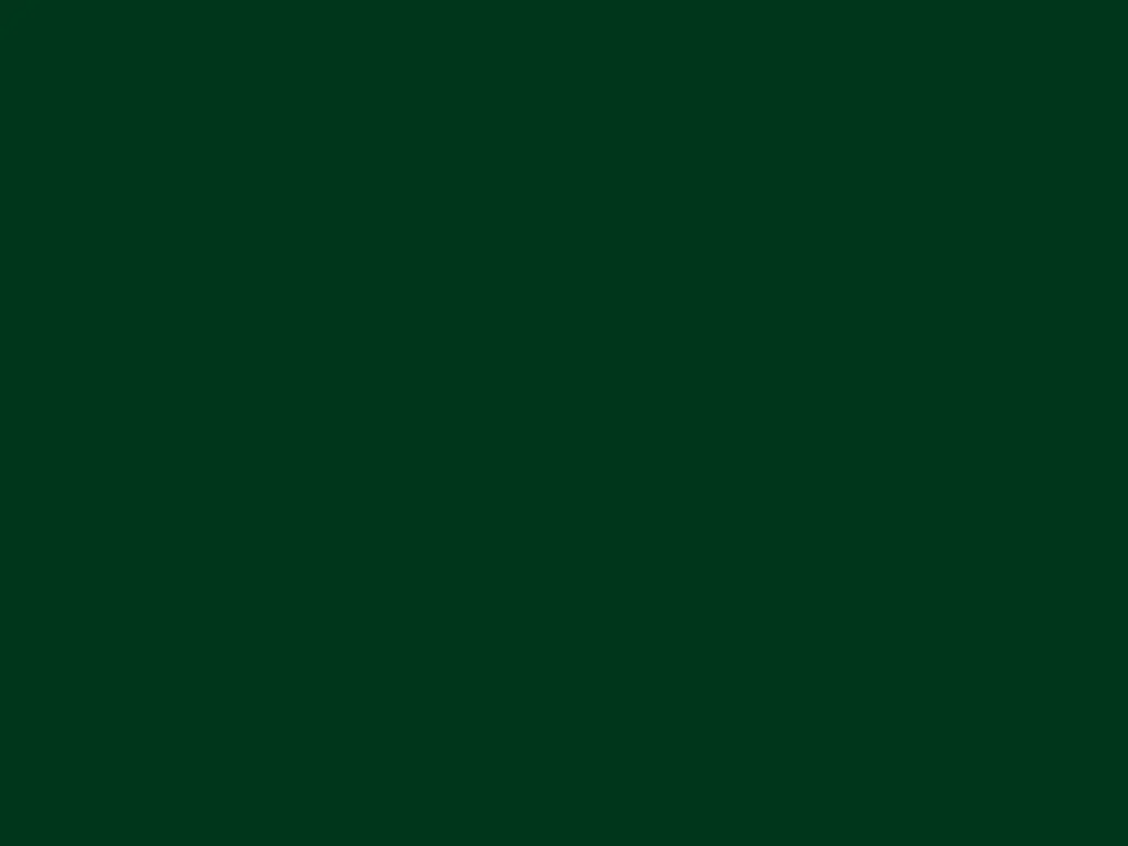 Autocolant verde închis lucios Oracal 641G Economy Cal, Dark Green 060, rolă 63 cm x 3 m, racletă de aplicare inclusă