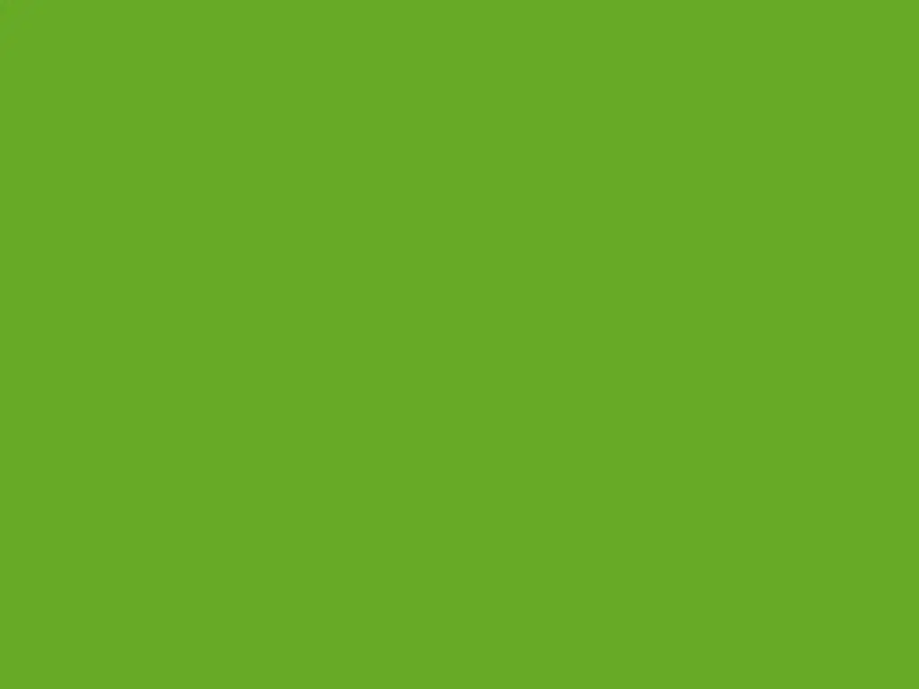 Autocolant verde lime lucios Oracal 641G Economy Cal, Lime-tree Green 063, rolă 63 cm x 3 m, racletă de aplicare inclusă