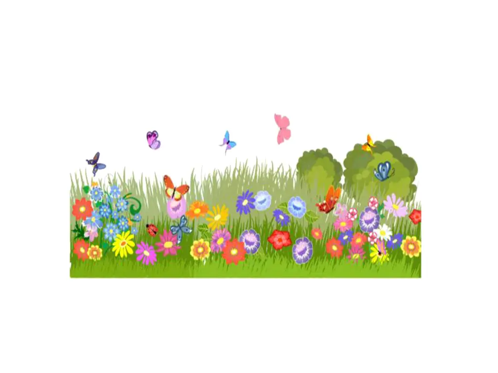 Sticker geam Câmp cu flori, Folina, autoadeziv, multicolor