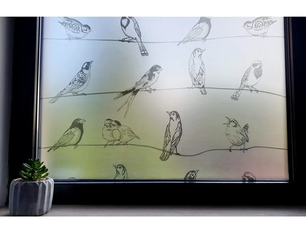 Folie geam autoadezivă Birdy, Folina, sablare cu model pasari gri, 100 cm lăţime