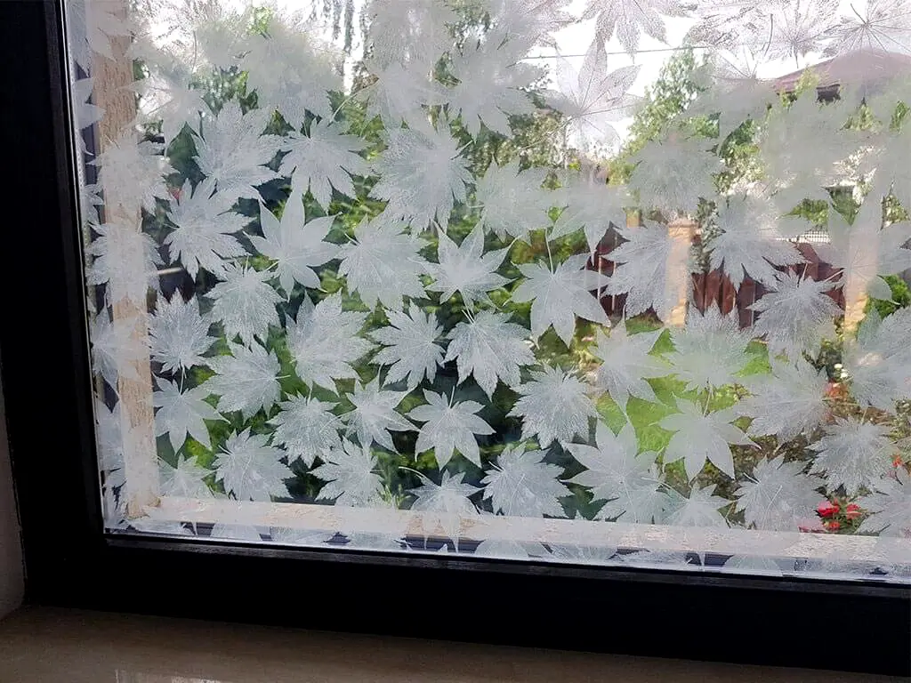 Folie geam autoadezivă, fundal transparent cu frunze albe, Folina, 152 cm lăţime