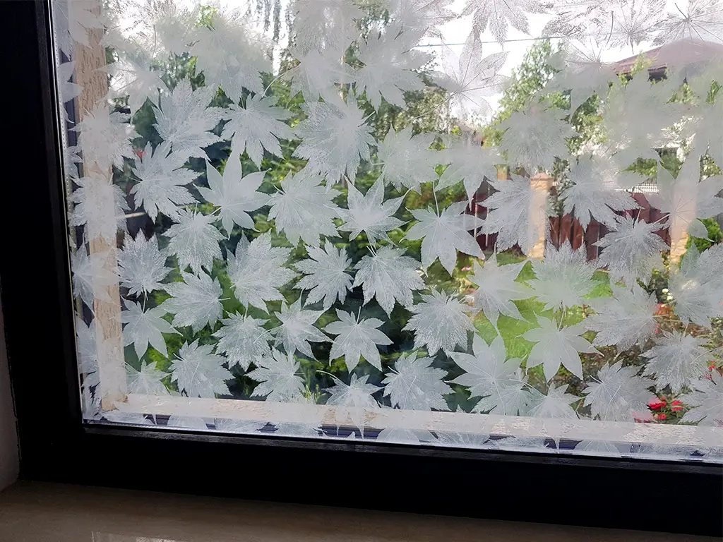 Folie geam autoadezivă cu model frunze albe pe fundal transparent, rolă de 75x200 cm + accesorii aplicare