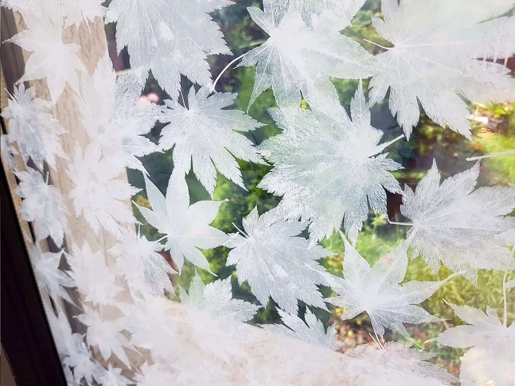 Folie geam autoadezivă, fundal transparent cu frunze albe, Folina, 152 cm lăţime