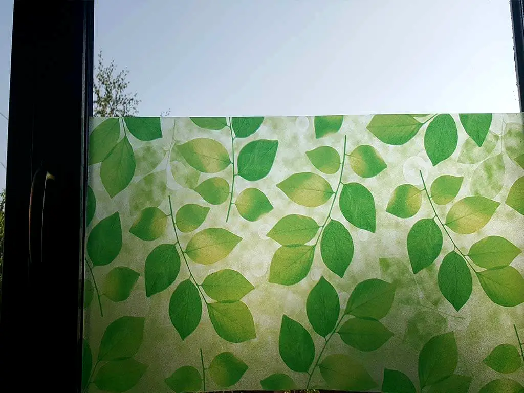 Folie geam autoadezivă Frunze, Folina, imprimeu verde, 90x280 cm