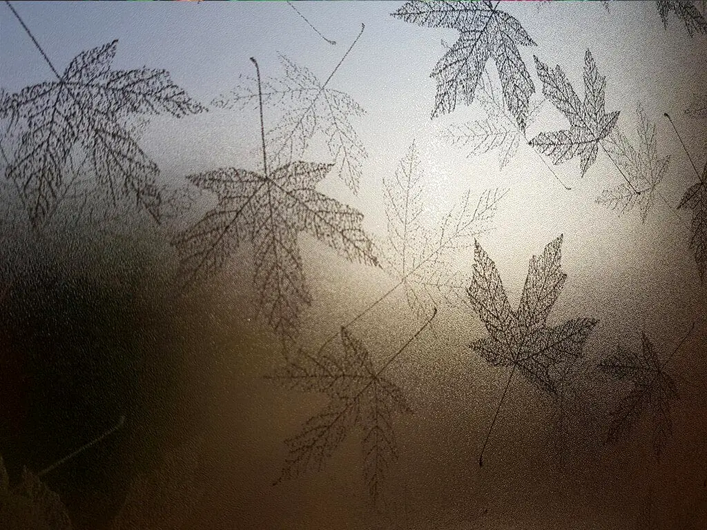 Folie geam autoadezivă Ava, Folina, imprimeu frunze gri, lăţime de 90 cm lăţime