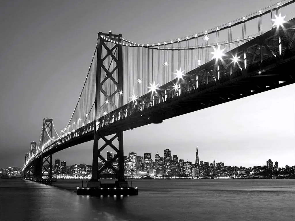 Fototapet San Francisco Skyline, WG, peisaj urban alb-negru, 366x254