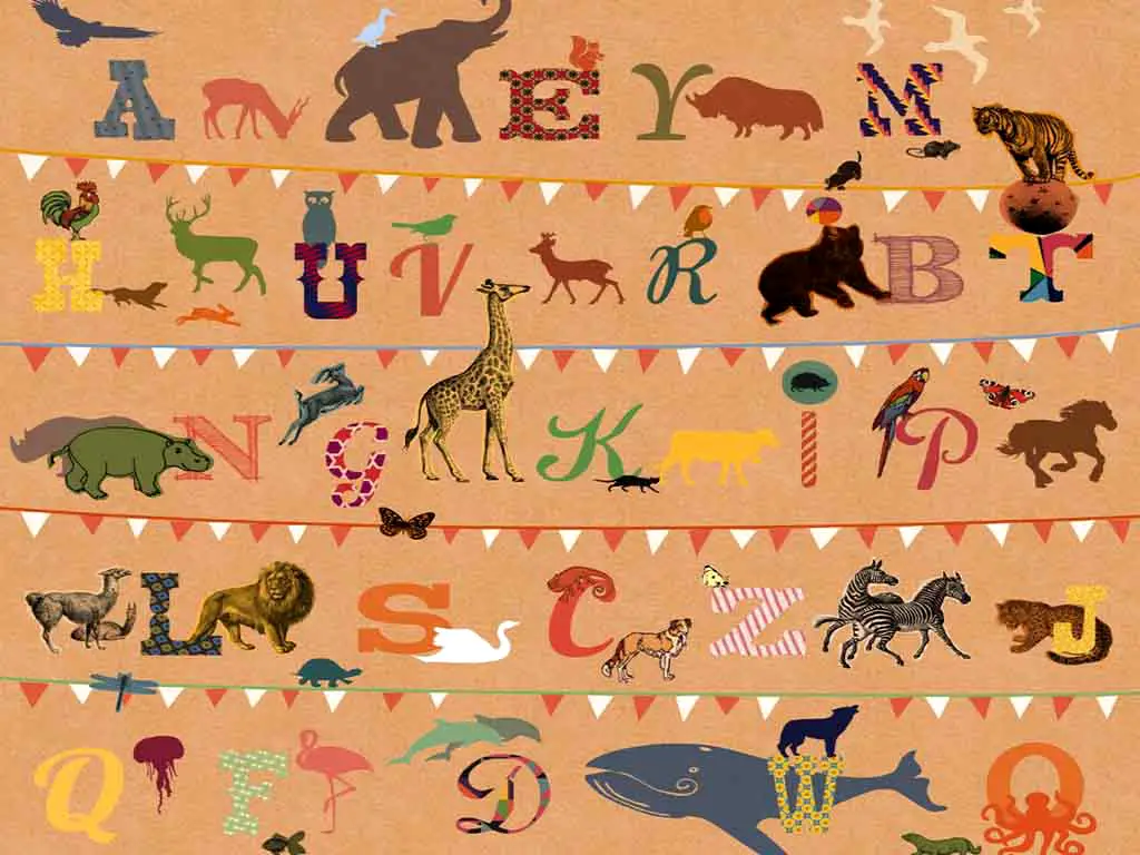 Fototapet alfabet T wie Tiger, Komar, pentru copii, multicolor-250x250 cm