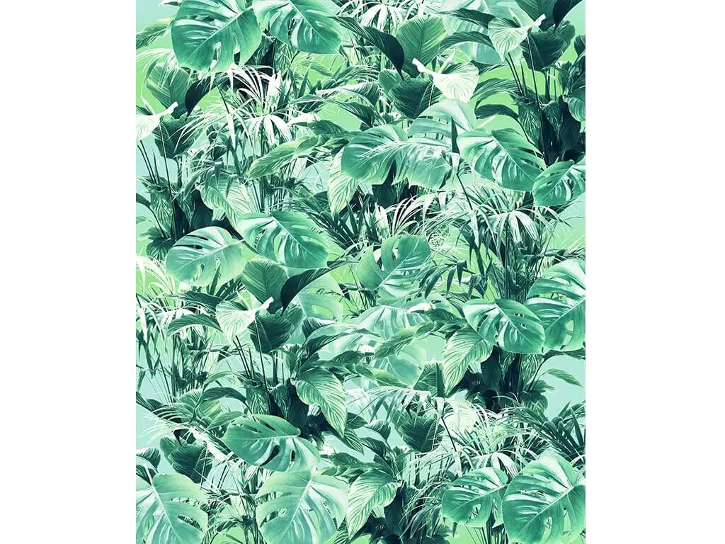 Fototapet frunze Evergreen, Komar, exotic, verde, 200x250 cm