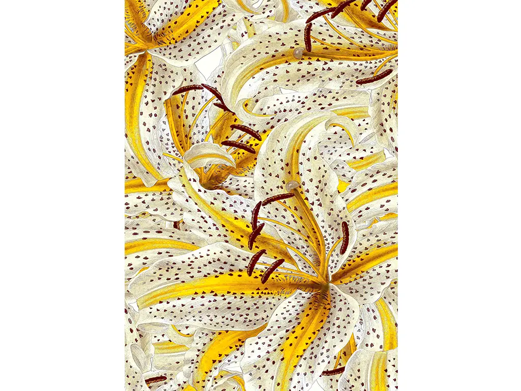 Fototapet floral galben, Marburg Sayuri, 159x270 cm