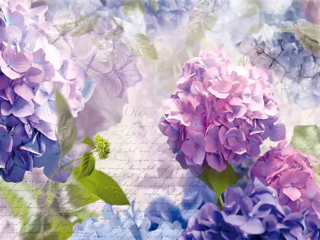 Fototapet Otaksa, Komar, imprimeu floral, multicolor, 368 x 254 cm
