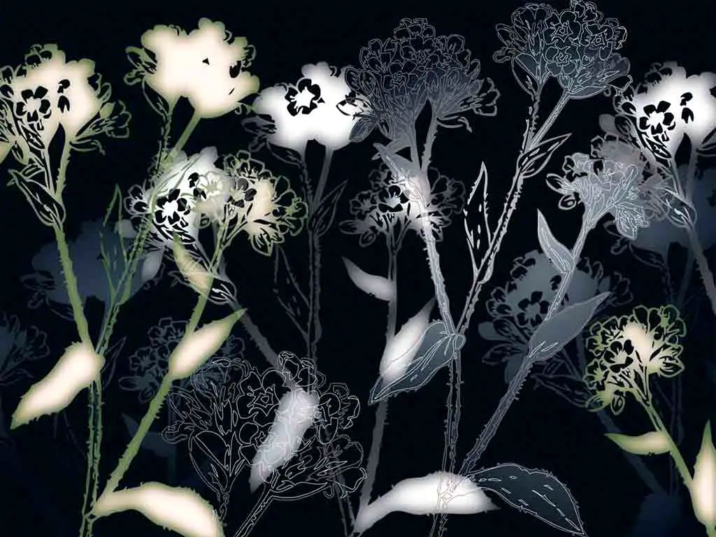 Fototapet Bellezza, Komar, imprimeu floral, multicolor, 368 x 254 cm
