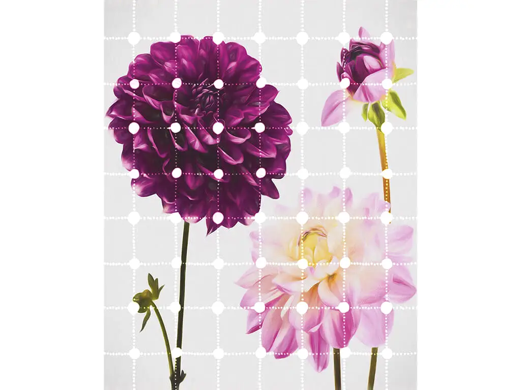 Fototapet floral Flowers and Dots, Komar, culoare mov, dimensiune fototapet 200x250 cm