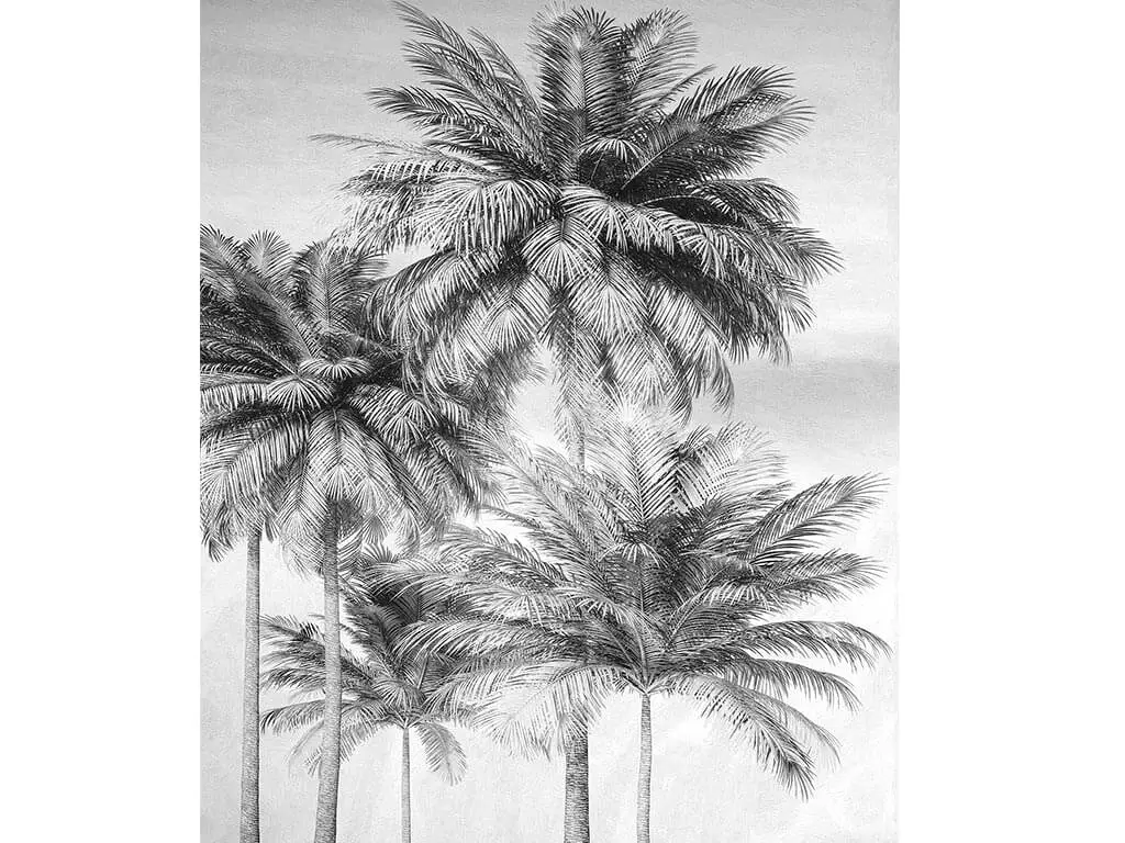 Fototapet Cocco, Komar, model palmieri, gri, 200x250 cm