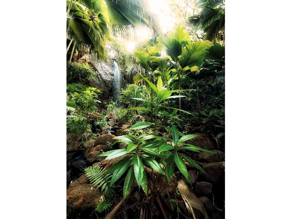 Fototapet Spirit, Komar, decorațiune peisaj exotic verde, dimensiune fototapet 184x248 cm