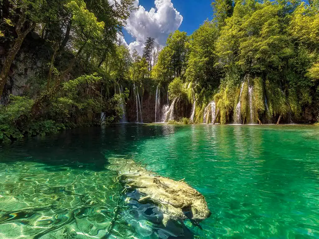 Fototapet cascadă Eden Falls, Komar, peisaj verde, 368x254 cm